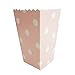 Bilipala Popcorn Boxes, Popcorn Favor Boxes, 24 Count, Pink Chevron, Stripe and Polka Dot