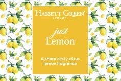 Hassett Green London - Just Lemon - Fragrance Oil Reed Diffuser Refill - Larger Size 250ml Bottle, 250 ml (Pack of 1) - Image 5