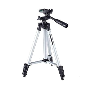 31moTyn6ZVL. SS300