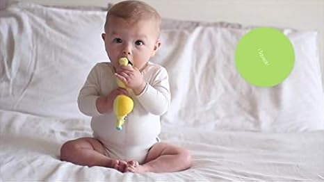 squeak and soothe natural teether
