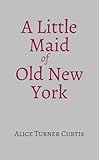 A Little Maid of Old New York