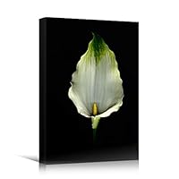 Canvas Wall Art White Flower Portraiture Colorful Floral Multicolor Photography Portrait Romantics - 12x18 inches