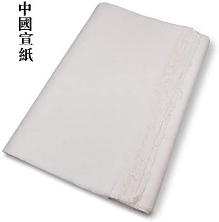 QJiang Featured Handmade Rice Paper Half Ripe Xuan Paper Yunlong Paper Mulberry Paper White with Long Plant Fibre for Ink Brush Artworks Kanji Writing Watercolor Painting Practice