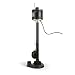 ECO-FLO Products EPP33 Pedestal Sump Pump with Vertical Float Switch, 1/3 HP, 3,000 GPH