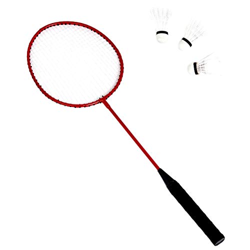AmazonBasics Outdoor Volleyball And Badminton Combo Set With Net (Renewed)