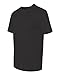 Hanes 4 oz NANO-T Cool Dri T-Shirt (Black, Large)