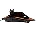 Arf Pets Cat Shelf, Wall-Mounted Desined Wooden Cat Perch - Holds Cats Up to 44 Lb
