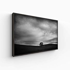 Canvas Wall Art for Living Room, Bedroom Monochrome Landscape Framed Canvas Prints for Home Decoration Ready to Hang - 16x24 inches