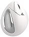 Evoluent – Inventor of The Vertical Mouse – VM4RB Ergonomic Vertical Mouse White Bluetooth for Mac, Right Hand Med to Large, Sculpted for Comfort, Reduces Wrist Strain, 4 Speeds, Plug-N-Play