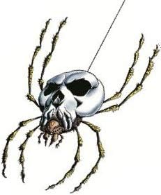 legend of zelda spider