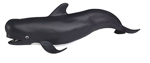 Safari Pilot Whale