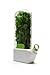 Prepara Herb Savor,Clear, 1 count