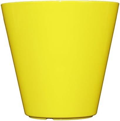 Noah Contemporary 6" Round Indoor Planters | Plastic Flower Pots - Citron Set of 2