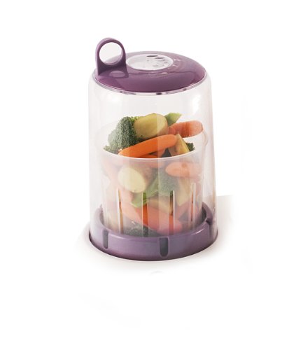 baby chef food maker