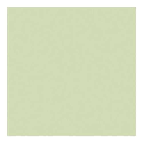 Rosco Roscolux Pale Yellow Green, 20x24