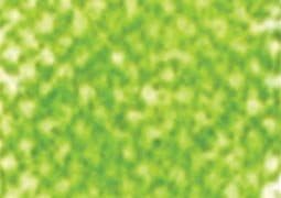 Holbein Soft Pastel Individual - Olive Green