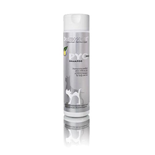 PYOclean Shampoo for Dogs & Cats - Anti-Itch Sensitive Formula to Control Skin Infections & Allergy Symptoms - 200 ml