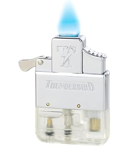 Amazon.com: ZPLUS Torch Flame Lighter Insert : Health