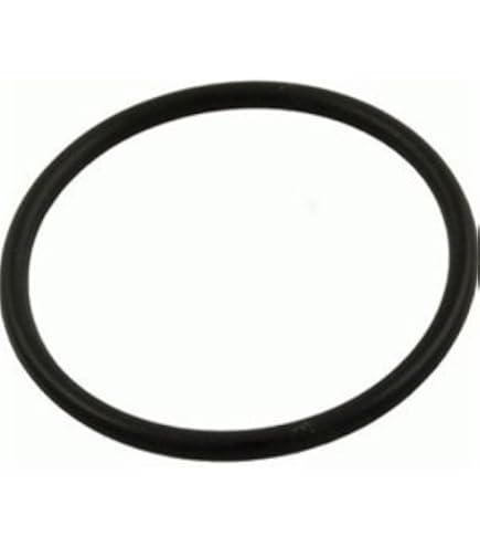 Amazon.com : Bubbacare V38-164 Val-Pak Ultra Flow Pump Lid O-Ring