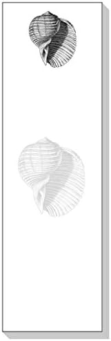 Ars Antigua Slim Writing Blocs (Notepads) • Dolium Shell • Engraving 1865 • Two Blocs of 50 Sheets Each - Total of 100 Printed Sheets