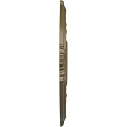 Ekena Millwork CM18ATMMF - Attica - Ceiling
