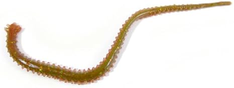 バークレイ ワーム ガルプ サンドワーム4インチ アオイソメ Gssw4 C Berkley バークレー ルアー Amazon