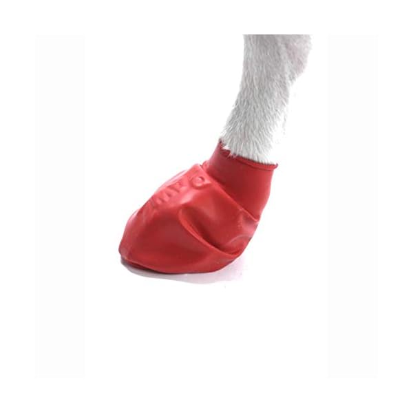 Pawz Dog Boots M Dog Paw Protection with Dog Rubber Booties Dog