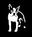 Boston Terrier Standing Decal Vinyl Sticker Graphics for Cars Trucks SUV Vans Walls Windows Laptop|White|5.5 X 4.4 inch|URI042