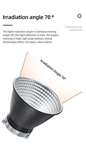 Godox Standard 7" Fish Scale Design Reflector Diffuser + Barn Door BD-04 with Honeycomb Grid and 4 Color Gel Filters