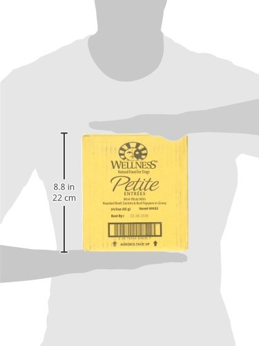 WELLNESS PETITE ENTREES MINI FILLETS GRAIN FREE ROASTED BEEF NATURAL WET DOG FOOD, 3-OUNCE CUP
