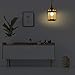 ETOPLIGHTING Bella Luce Collection Exterior Outdoor Wall Lantern, Oil Rubbed Rust Body Finish Clear Seeded Glass, APL1023