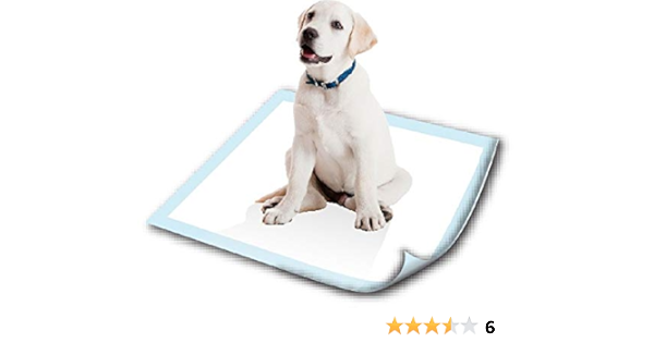 pooch pads amazon