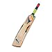 Puma Evospeed 2500 English Willow Cricket Bat Full Size with Padded Cover
