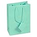 10 pcs Medium Fancy Robin's Egg Blue Glossy Finish Shopping Paper Gift Sales Tote Bags with Blank Message Tag 4.75
