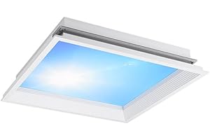 LUMINTURS 72W Clear Sky Light Natural Sunlight Lamp Led Panel Sunshine Dimmable Roof Window LED Ceiling Recessed Mount Light Fixture Indoor Remote Control Square