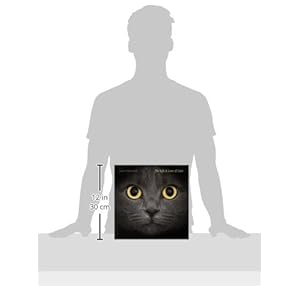 The Life and Love of Cats