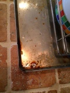 User review photo
