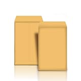AmazonBasics Catalog Mailing Envelopes, Peel & Seal, 6x9 Inch, Brown Kraft, 250-Pack