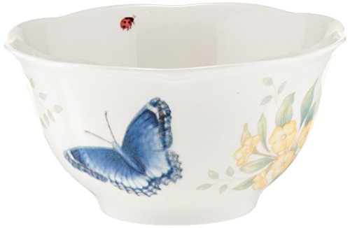 Lenox Butterfly Meadow Dinnerware Set - Image 5