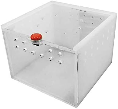 Caja insectos | Los mejores ejemplares de cajas.