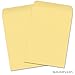 Set of 50 "Sunflower" Self Sealing Seed Envelopes (Die 2b) 3.25" x 4.50"