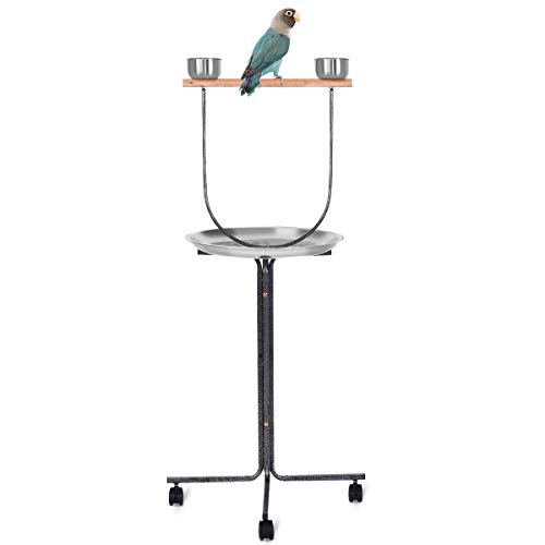 PETSJOY Bird Perch Stand Stainless Steel Parrot Training Perch Stand with Feeding Bowls & Potty Tray & Wheels, Large Parrot Play Stand, Height 51″ Inch