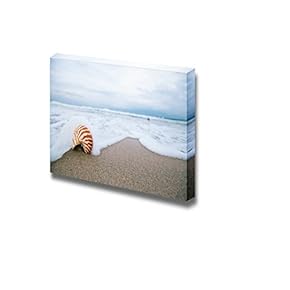 Conch Shelled Washed Ashore The Sandy Beach Wall Decor
