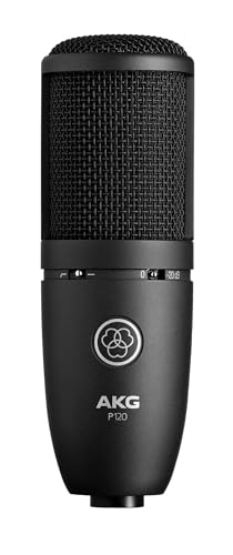 AKG P120 Condenser Microphone