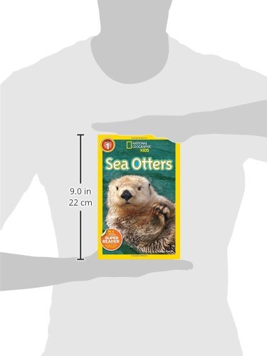 Sea Otters (National Geographic Kids Readers, Level 1) - Thumbnail 2