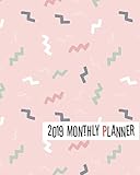 2019 Monthly Planner: Yearly Monthly Weekly 12 months 365 days Planner, Calendar Schedule, Appointme by