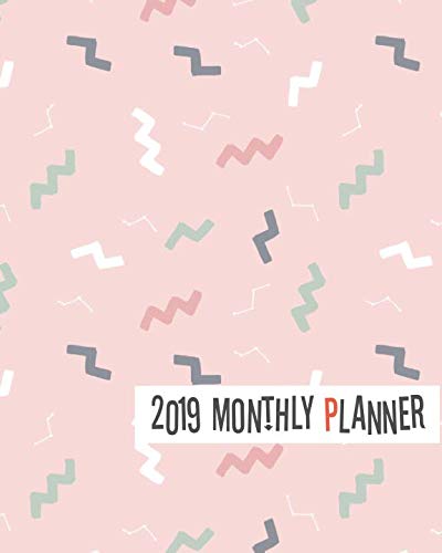 2019 Monthly Planner: Yearly Monthly Weekly 12 months 365 days Planner, Calendar Schedule, Appointme by