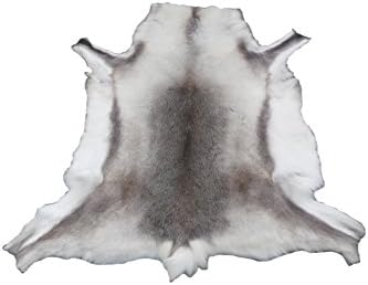 Zerimar Real reindeer - deer hide area rug -carpet Size: 51x51 in Real reindeer - deer hide area rug -carpet 100% Natural Perfect for decoration