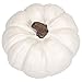 Elanze Designs Classic White 6 inch Resin Harvest Decorative Pumpkin