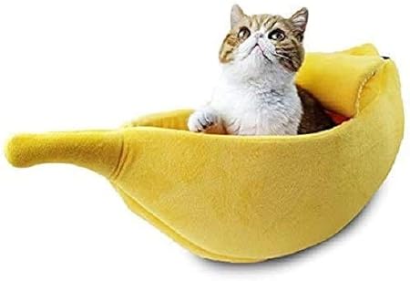 covered cat bed amazon